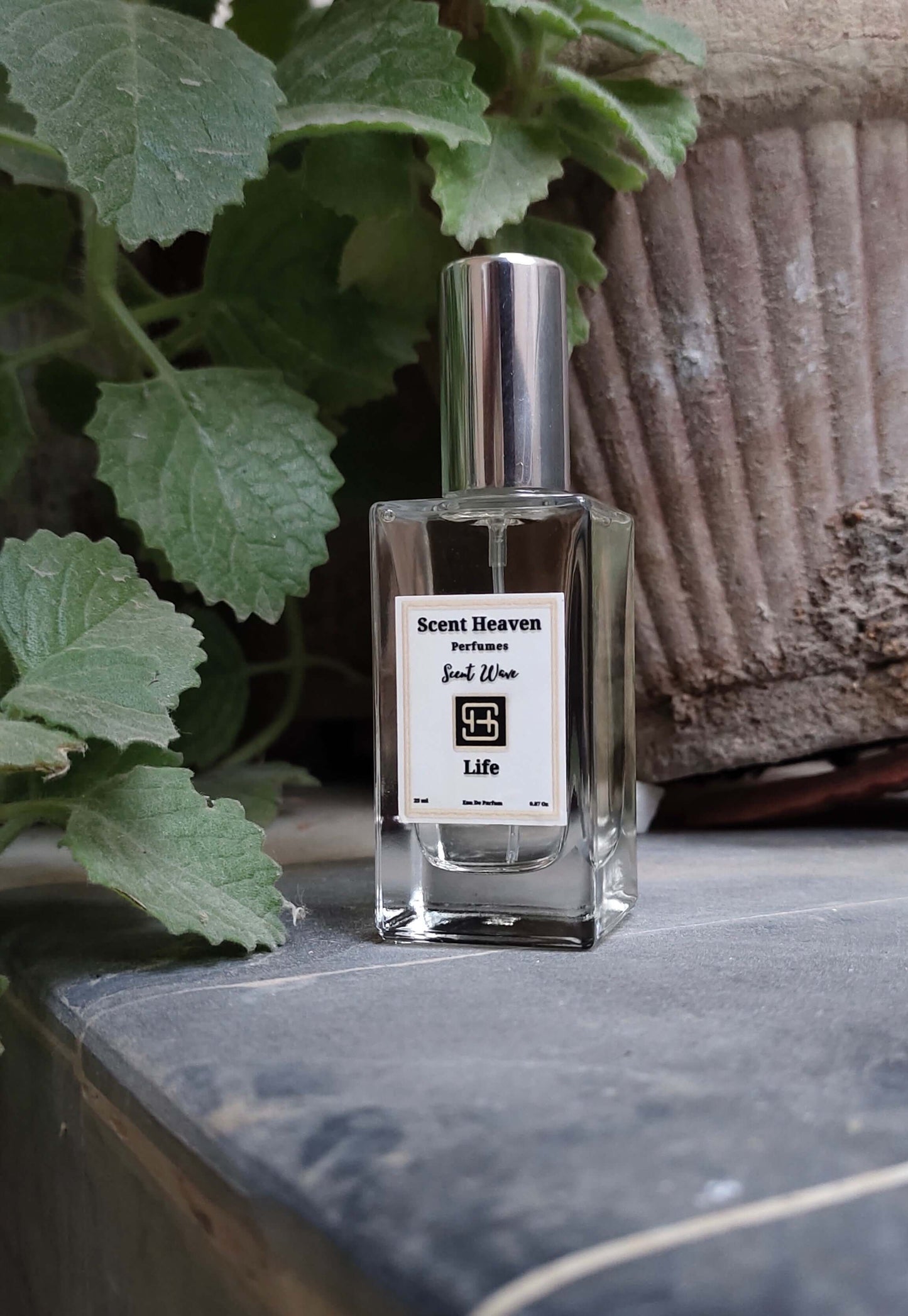 A stylish and elegant bottle of Experience LIFE Perfume, featuring a vibrant and modern design. The fragrance combines refreshing citrus, juicy fruits, and warm vanilla, creating a captivating and long-lasting scent. Perfect for adding sophistication to any occasion.