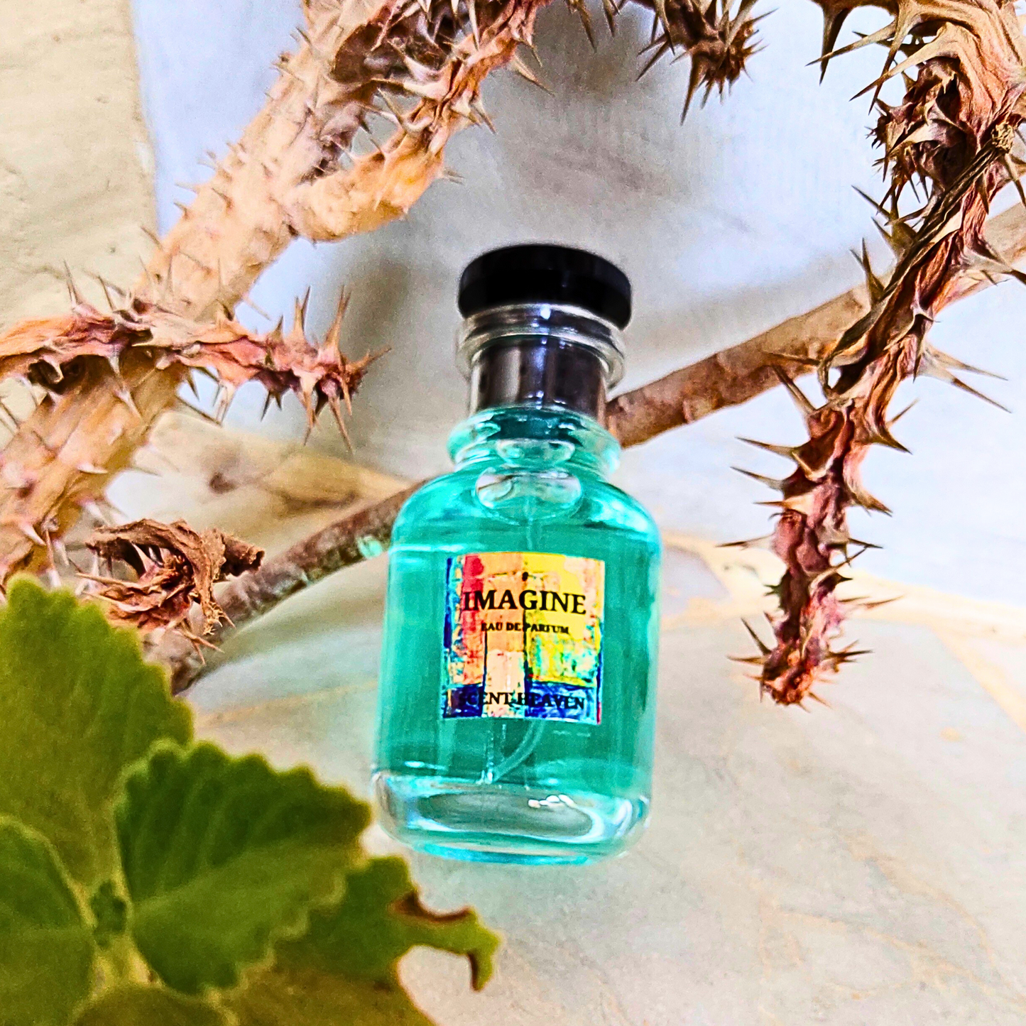 Premium unisex perfume  # Imagine with fresh citrus and woody notes – perfect daily wear scent in Pakistan