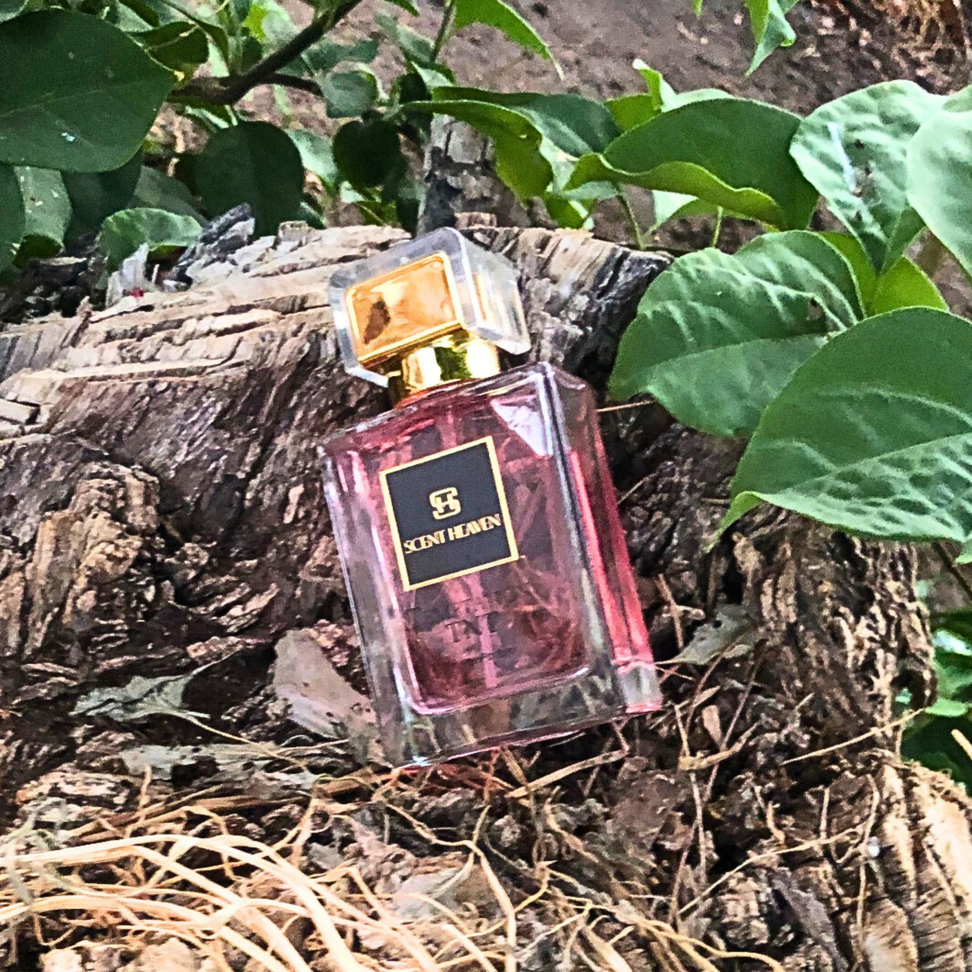 A 50ml bottle of TEMPTATION TNT perfume, a floral and fruity fragrance for women, featuring notes of passionfruit, peony, and musk. Perfect for casual, business, or date night